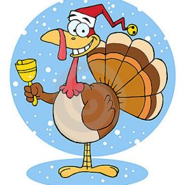 Dinde de Noël